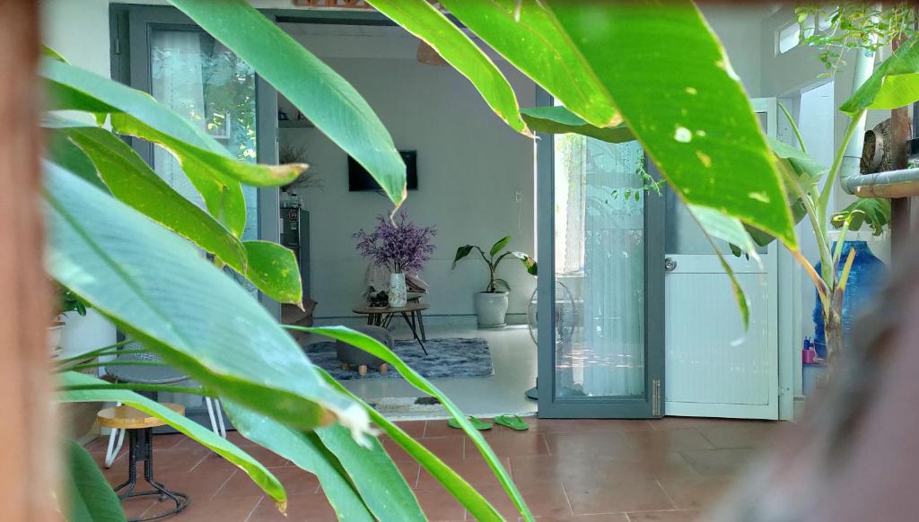 Sông Suối House Quy Nhon