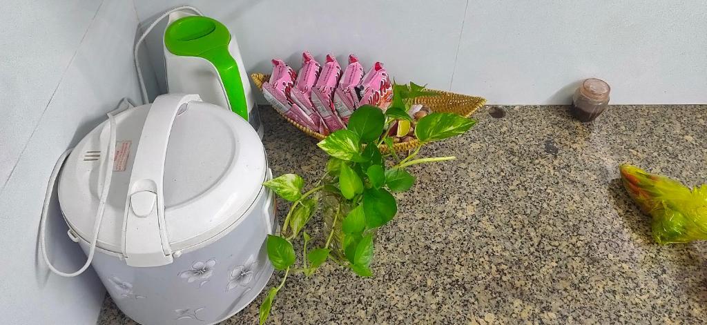 Sông Suối House Quy Nhon