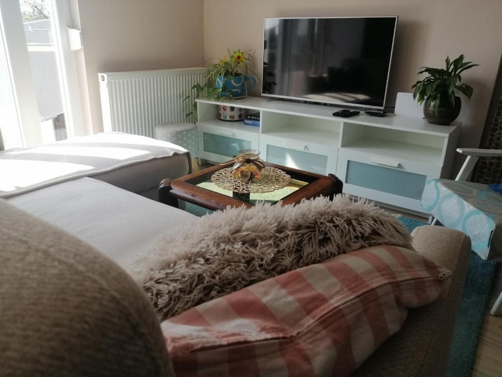 Apartman Kopriva photo 3