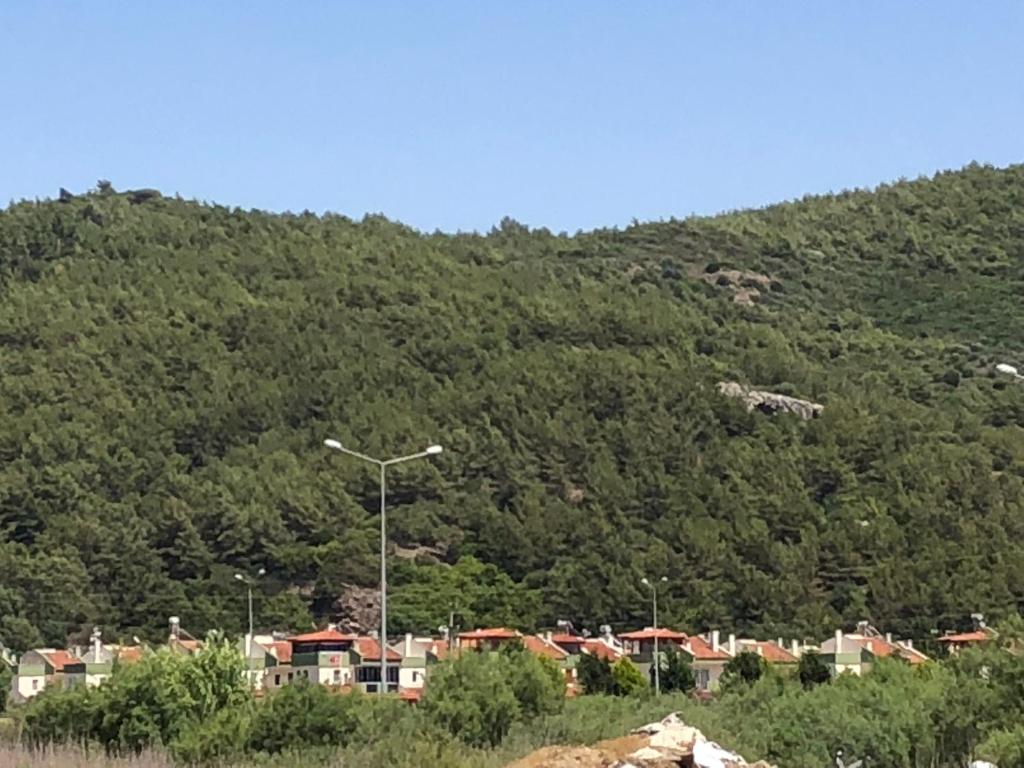 Ephesus Holiday House photo 4