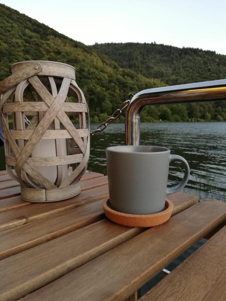 Hausboot auf der Mosel photo 3