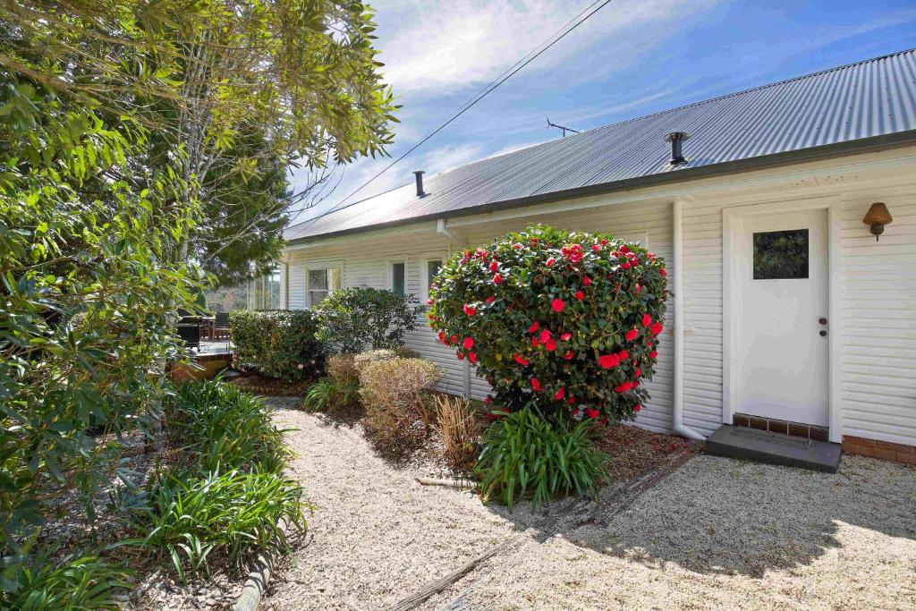 Scarlett's Place photo 4