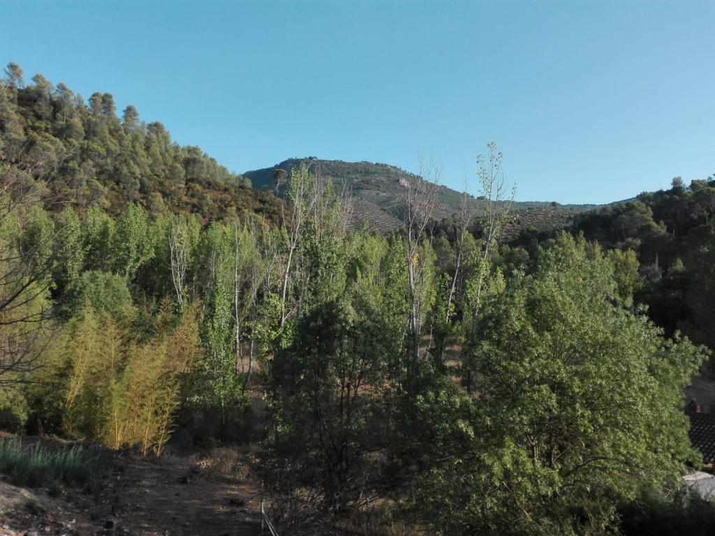 Huerta de José Miguel photo 1