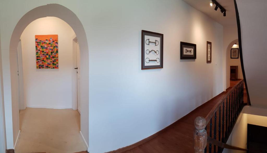 B&B at Haras Petit-Hallet photo 4