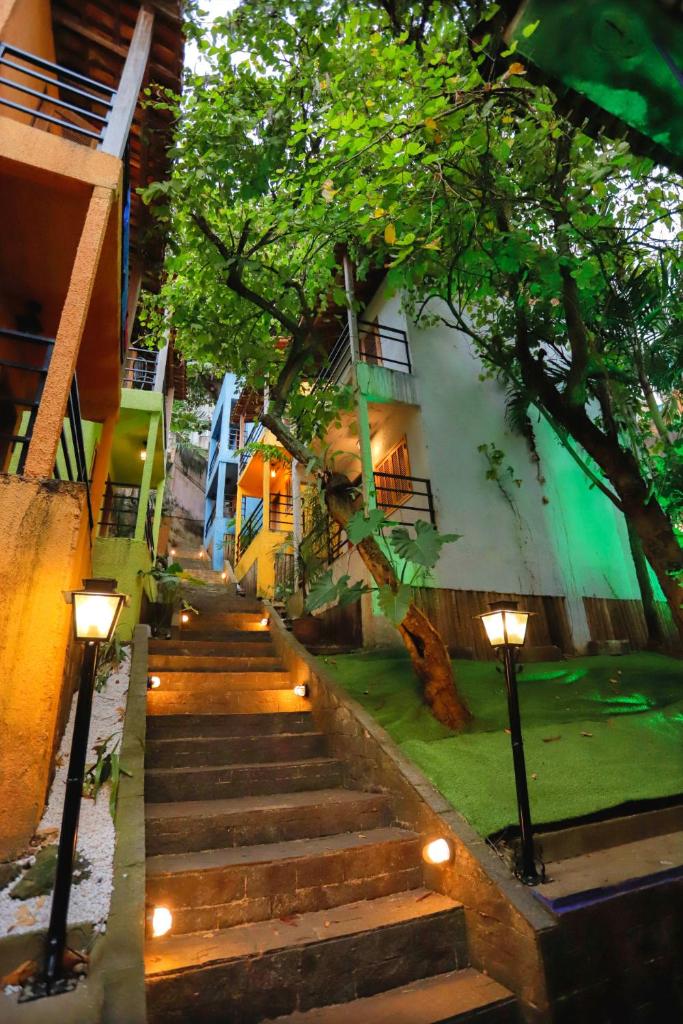 Pura Vida Hostel photo 2