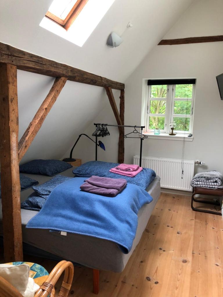 BrusaaUdlejning photo 4