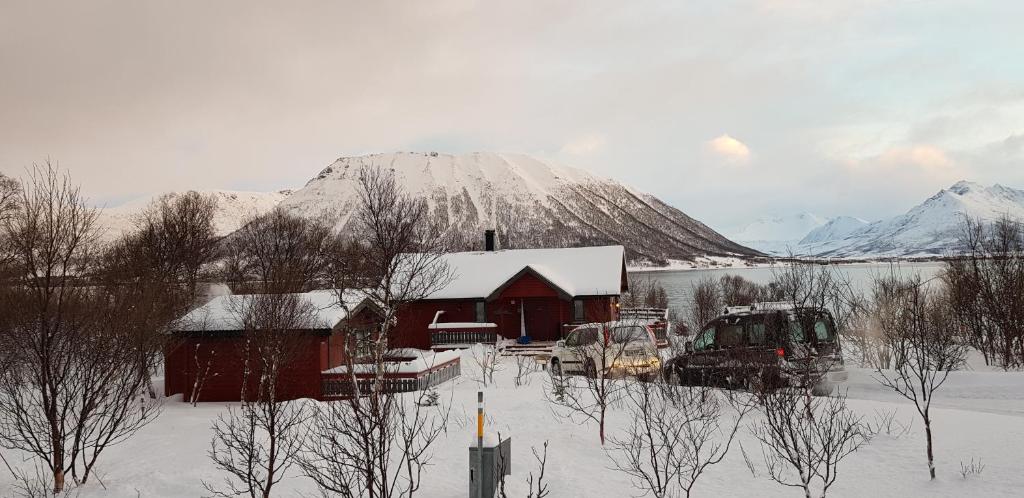 Lykkebo, Skjoldehamnveien 1151, Nygård, Andøy photo 4