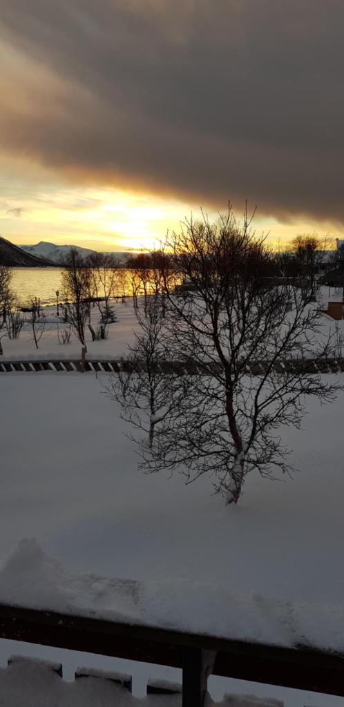 Lykkebo, Skjoldehamnveien 1151, Nygård, Andøy photo 2
