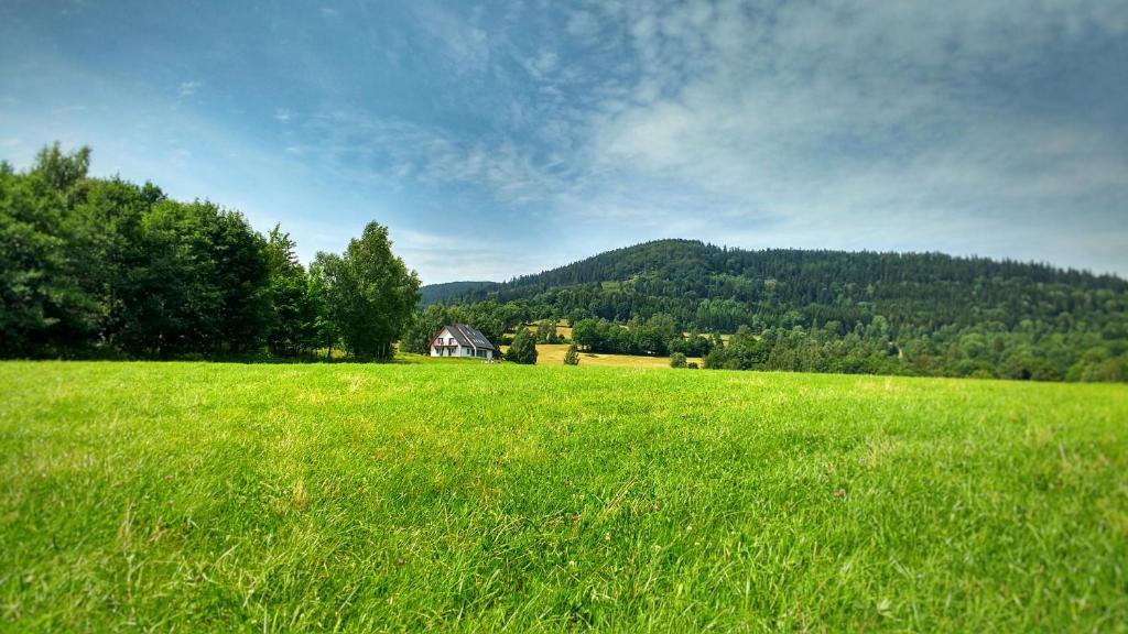 Rezydencja Ostoja photo 3
