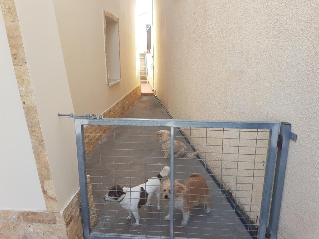 Lovely house not far from the beach, near Protaras photo 4
