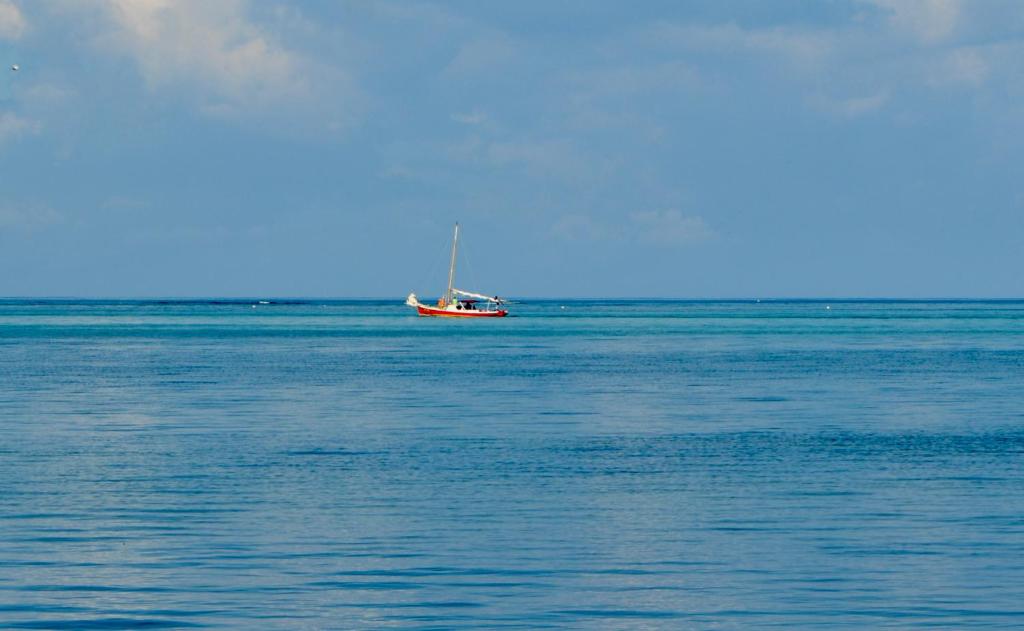 Xanadu Island Resort photo 1