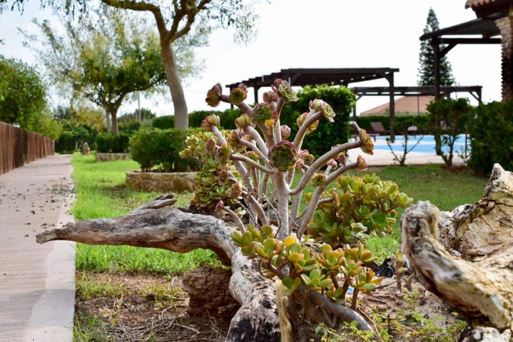 Boutique Hotel Ileas Village photo 3
