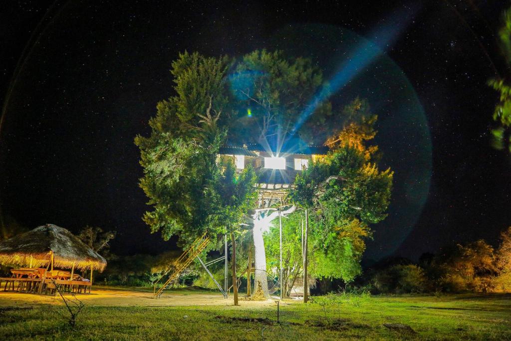 Yala Dream Park photo 3