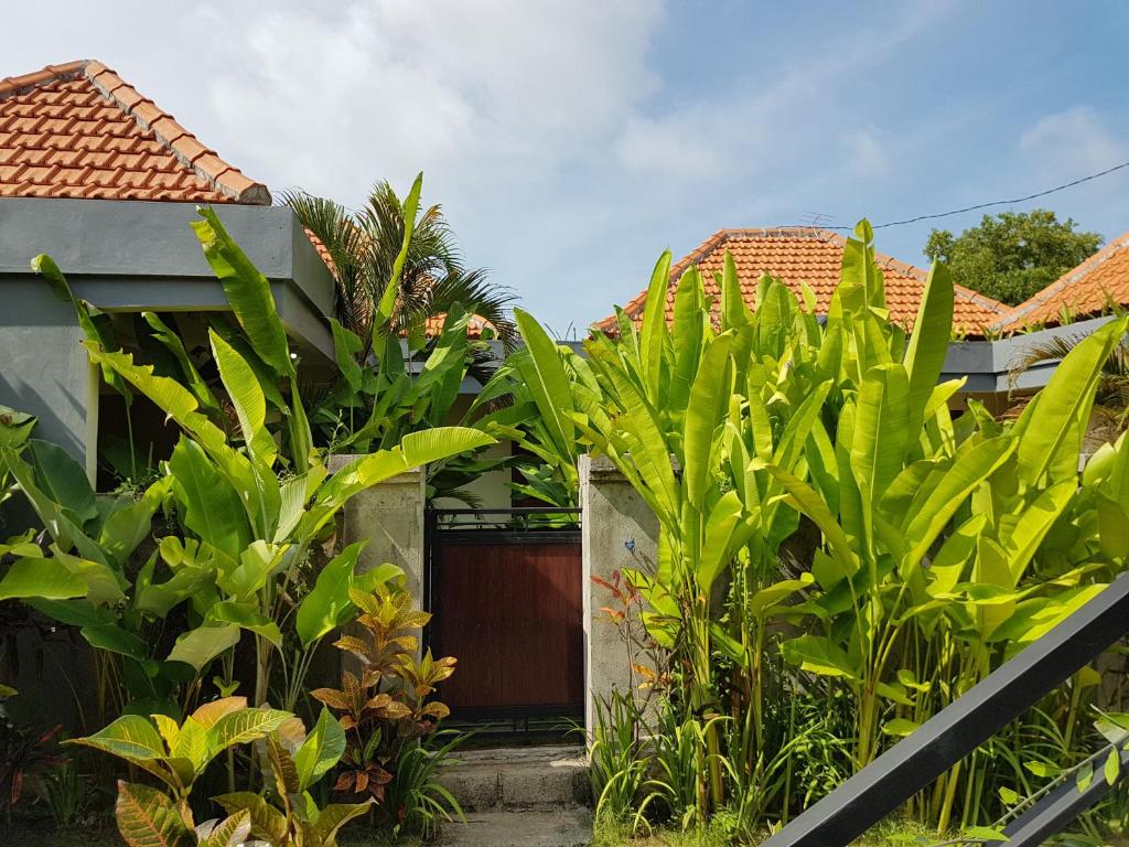 Двухместный (Двухместный номер Делюкс с 1 кроватью), Pandawa Beach Homestay