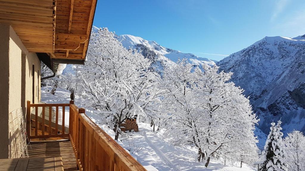 Chalet la Forestière photo 3