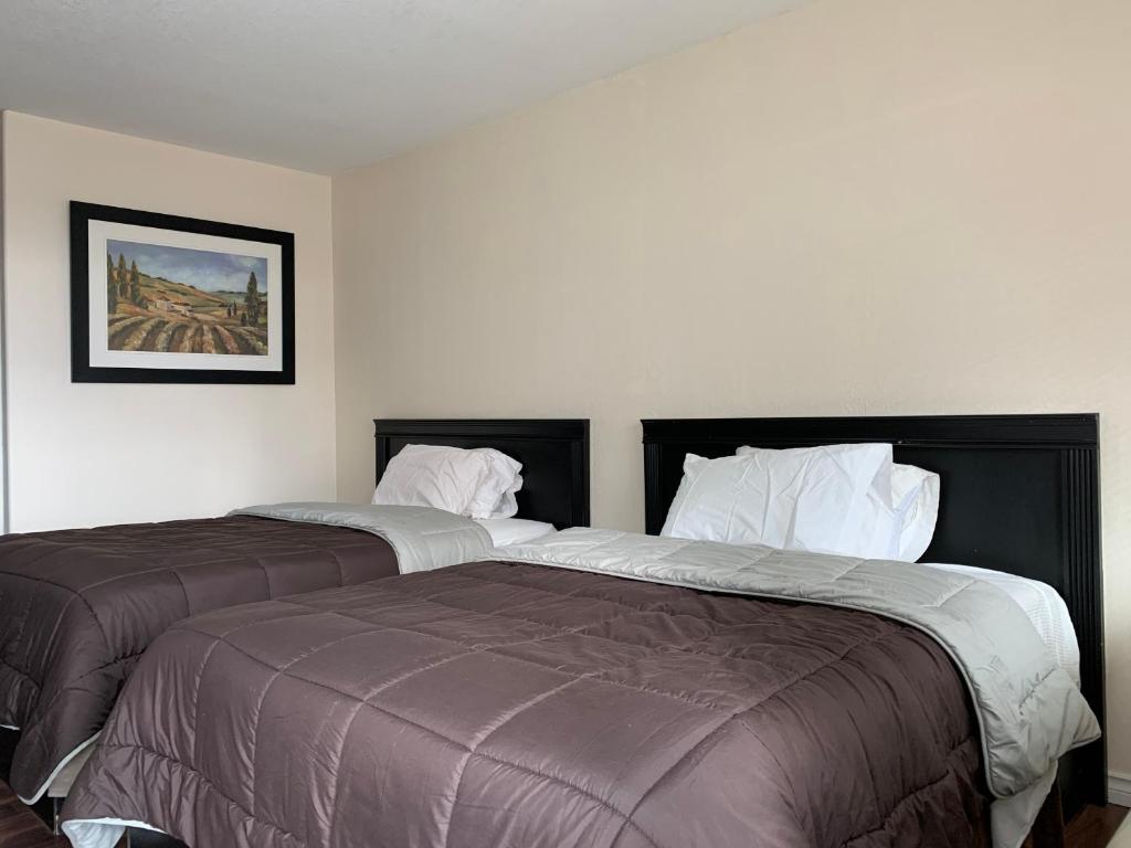 Langham Motel photo 1