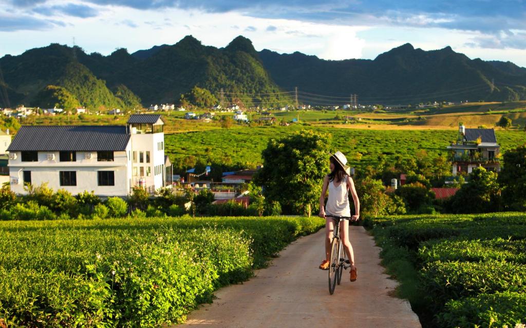 Moc Chau Cottage homestay