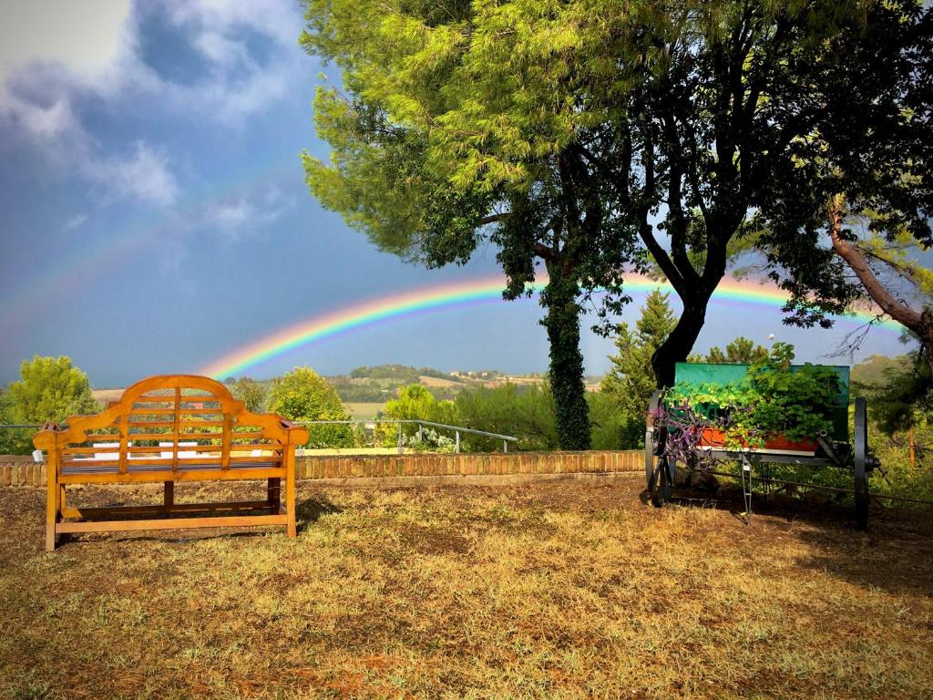 Il Colle delle Terrazze photo 3