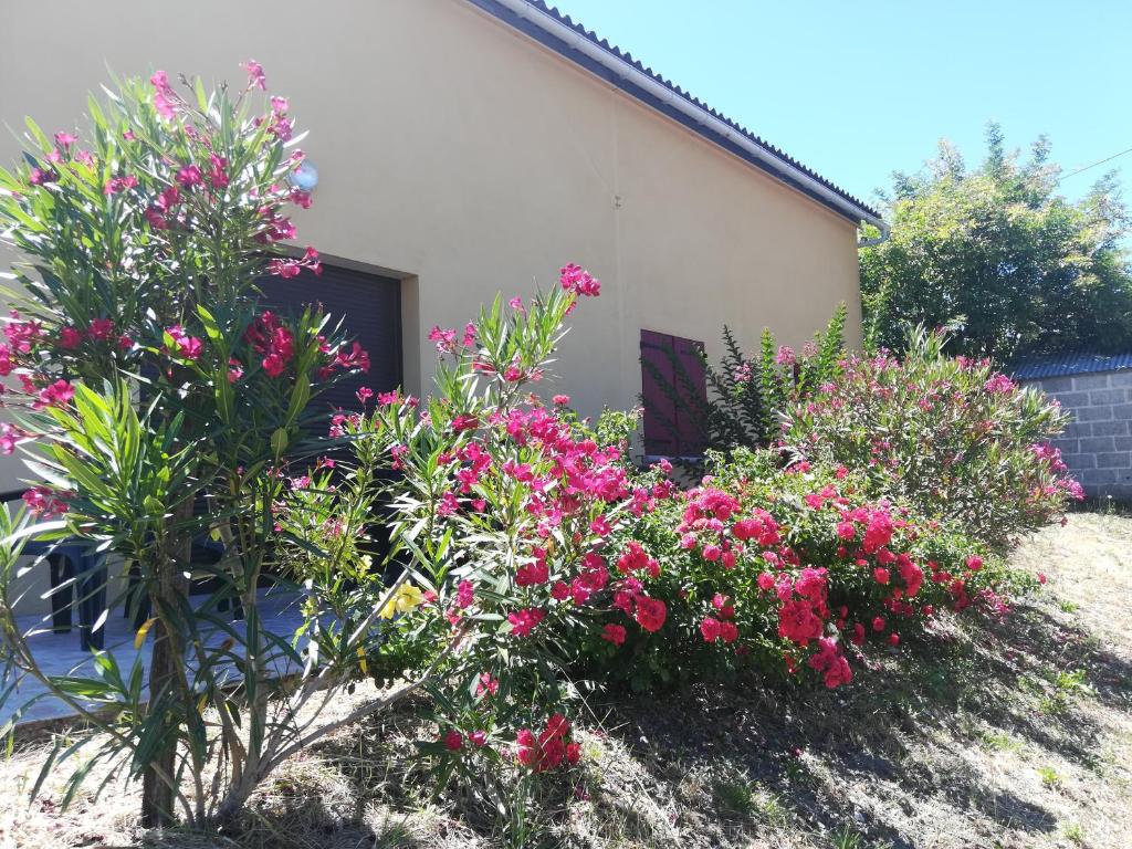 Les Vignes photo 4