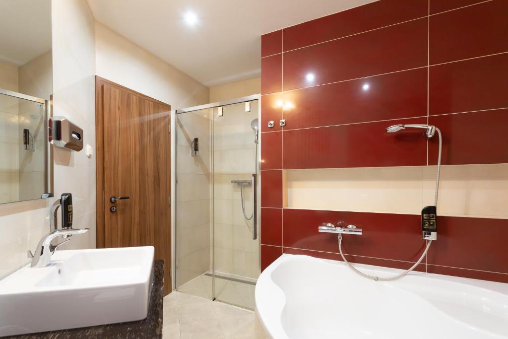 Двухместный (Двухместный номер Делюкс с 1 кроватью), Tempus Club Garni Hotel