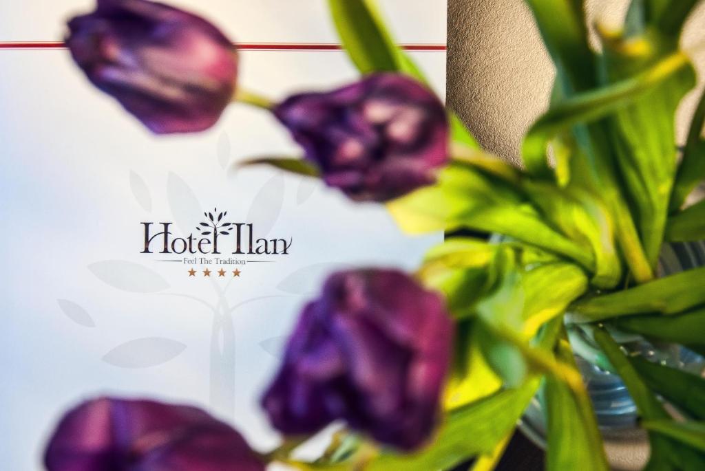 Апартаменты (Апартаменты), Hotel Ilan