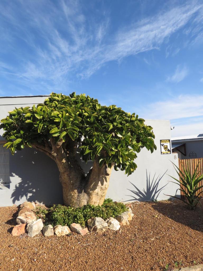 Caledon Protea Cottage photo 1