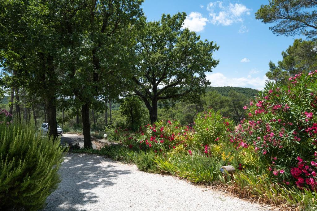 DOMAINE d'OUMAÏ photo 2