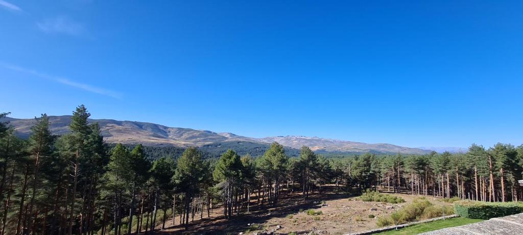 Parador De Gredos - Tap to explore photos