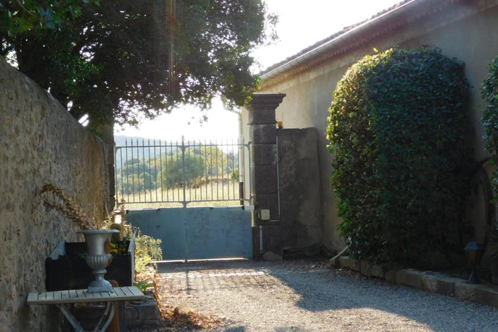 Loft atelier dans ancien domaine viticole photo 4