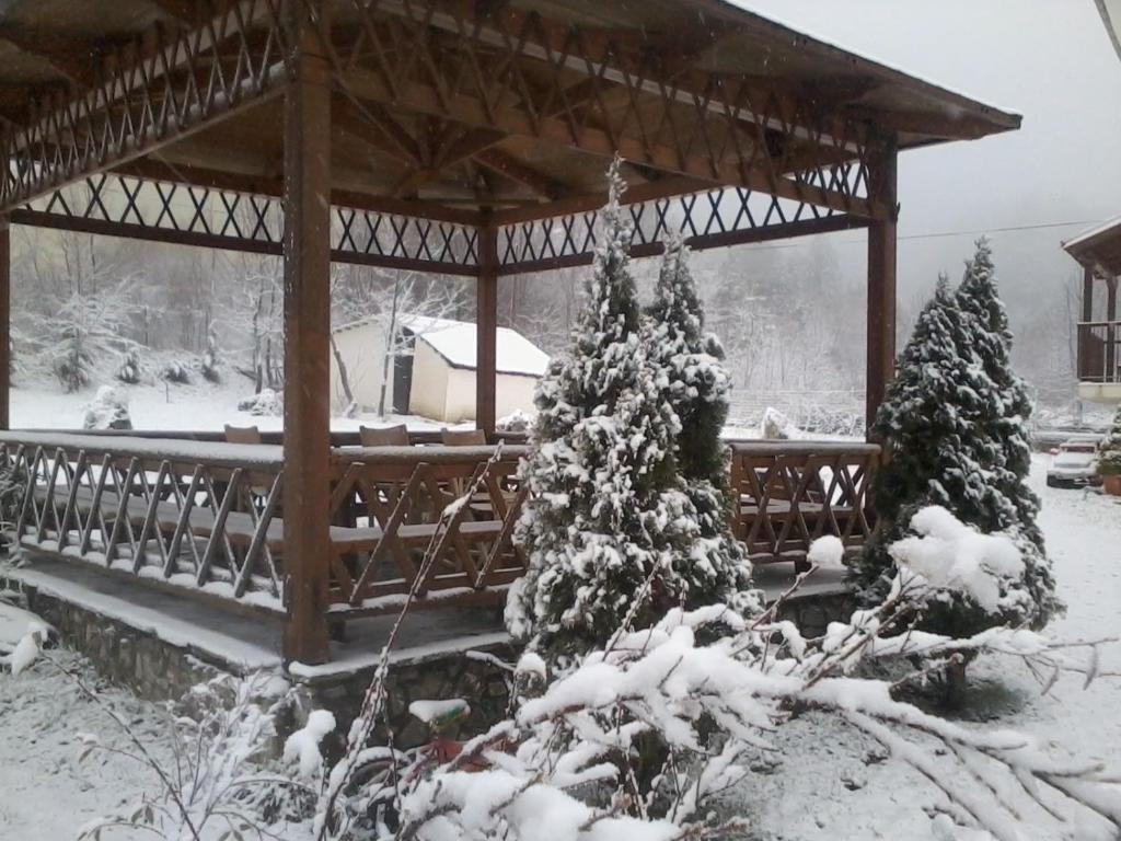 Villa Alexandra photo 4