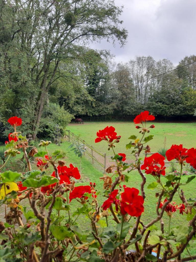 Manoir de la Peignie photo 4
