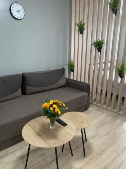 Babylon Apartments on Vidinska 41 photo 4