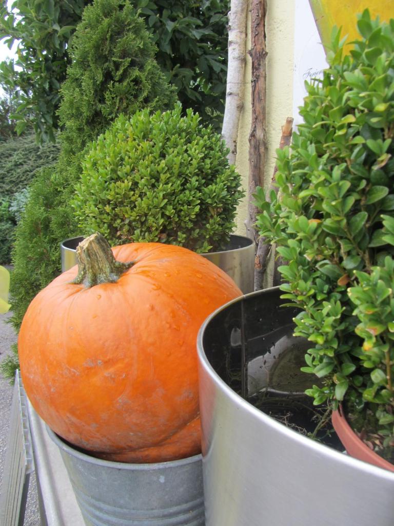 Haus Sonnenblick photo 1
