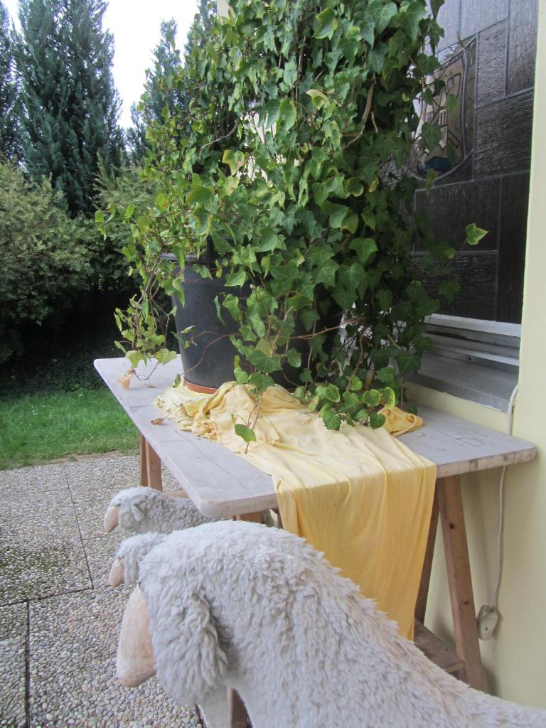 Haus Sonnenblick photo 3