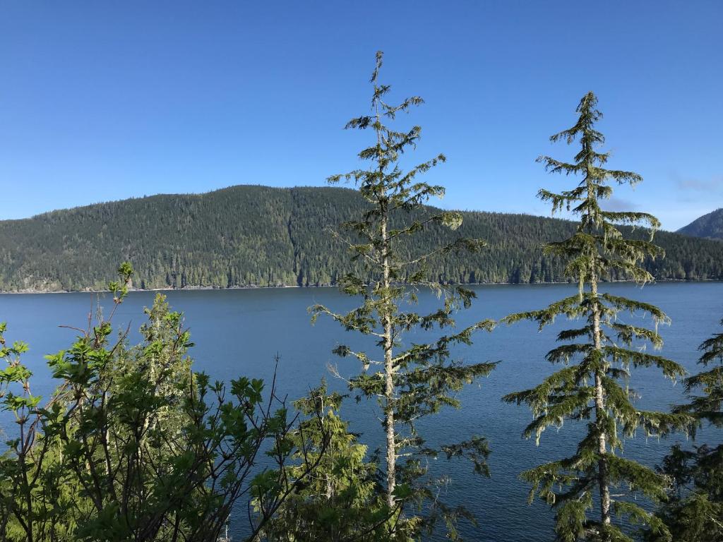 Port Renfrew Vacation Rentals photo 4