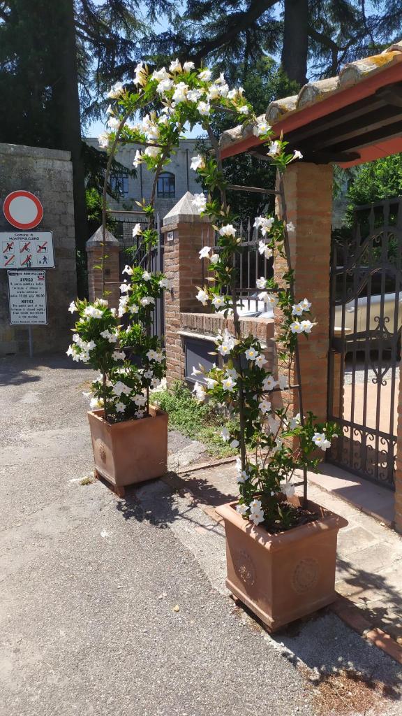 Il Giardino della Fortezza photo 4