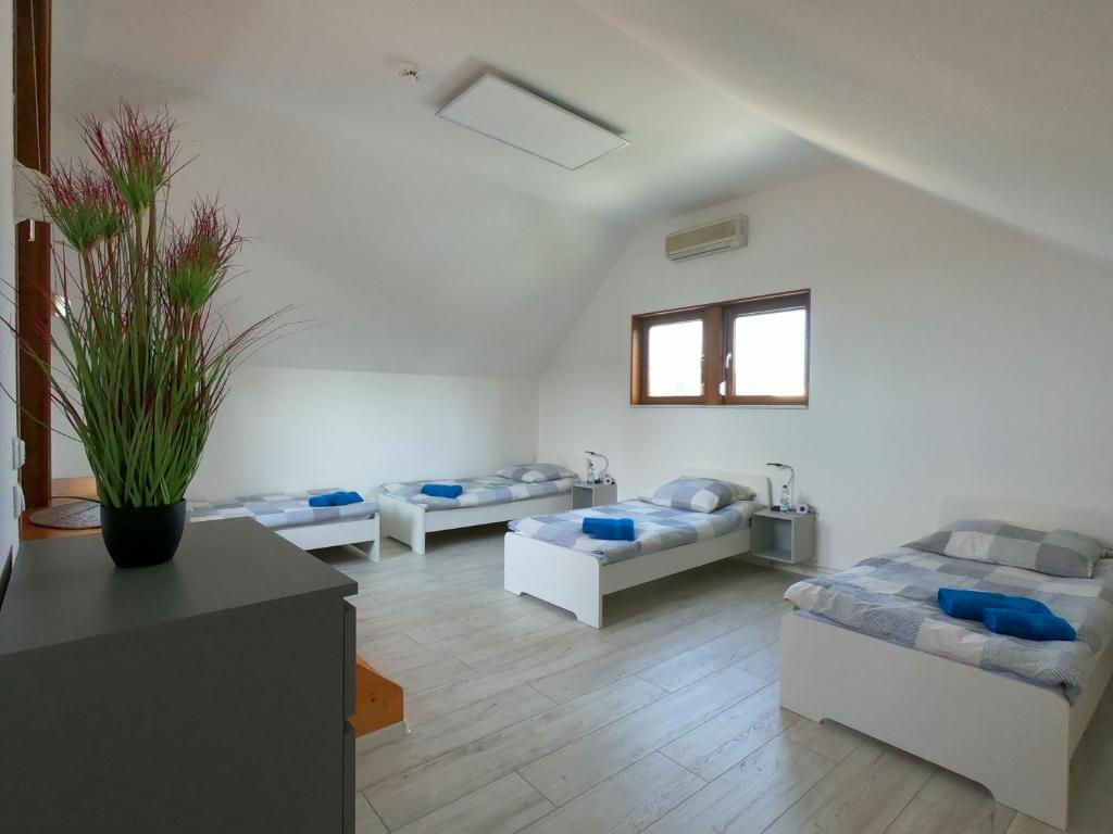 Die Göttinger Ferienwohnung, alt trifft modern! photo 1