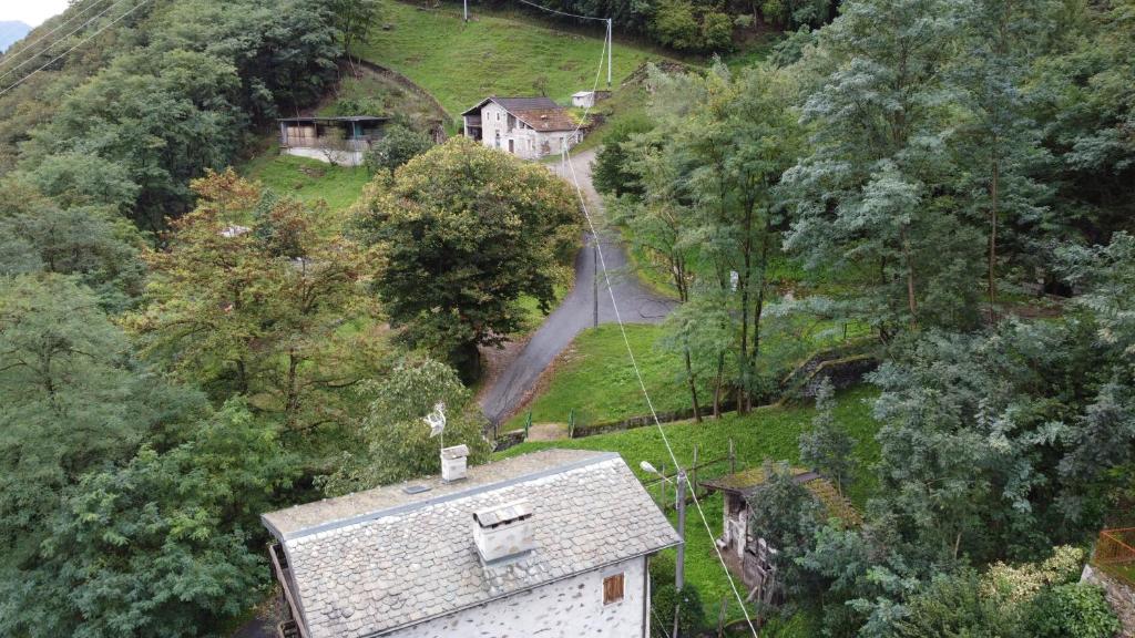 B&B Al Carotin photo 4