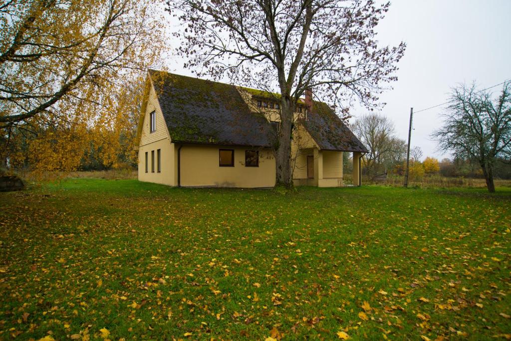 Farm photo 4