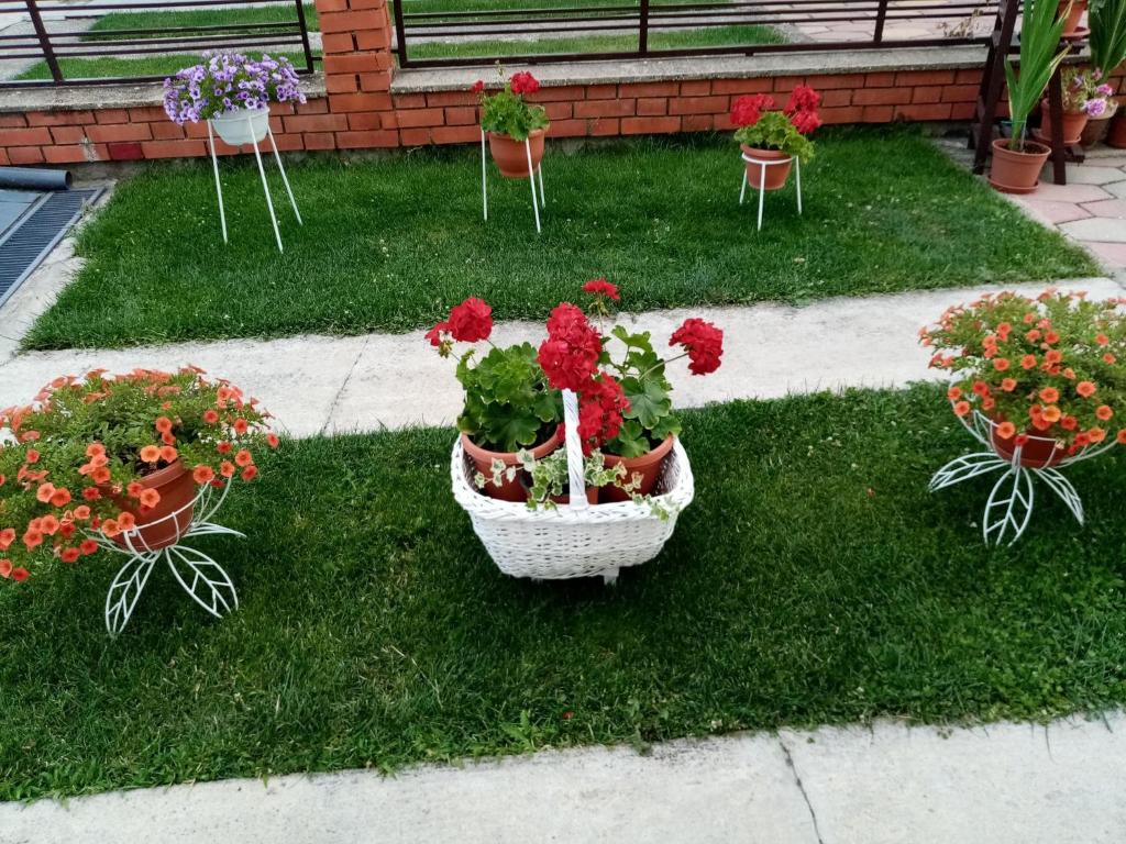 Apartment Elmari photo 2