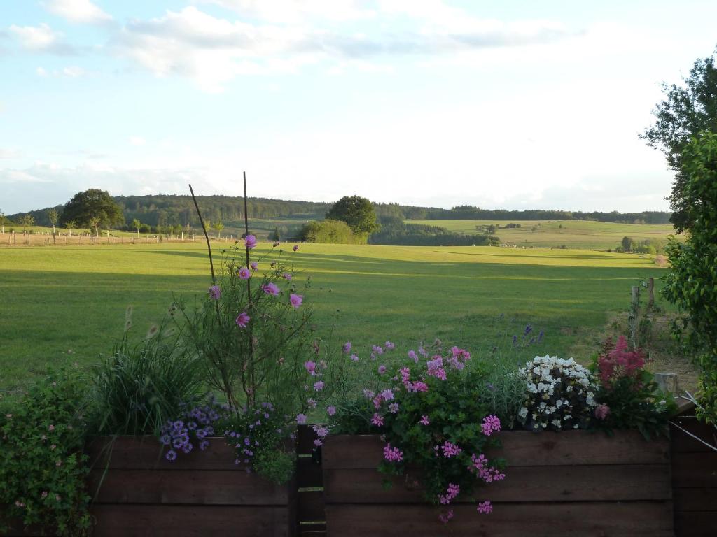 'Chez Lulu' - Gîte cocon avec bain nordique Ardenne photo 4