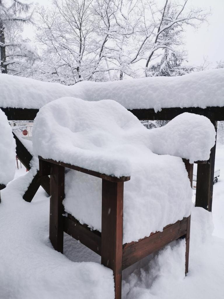 Hakuba Powder Republic photo 4