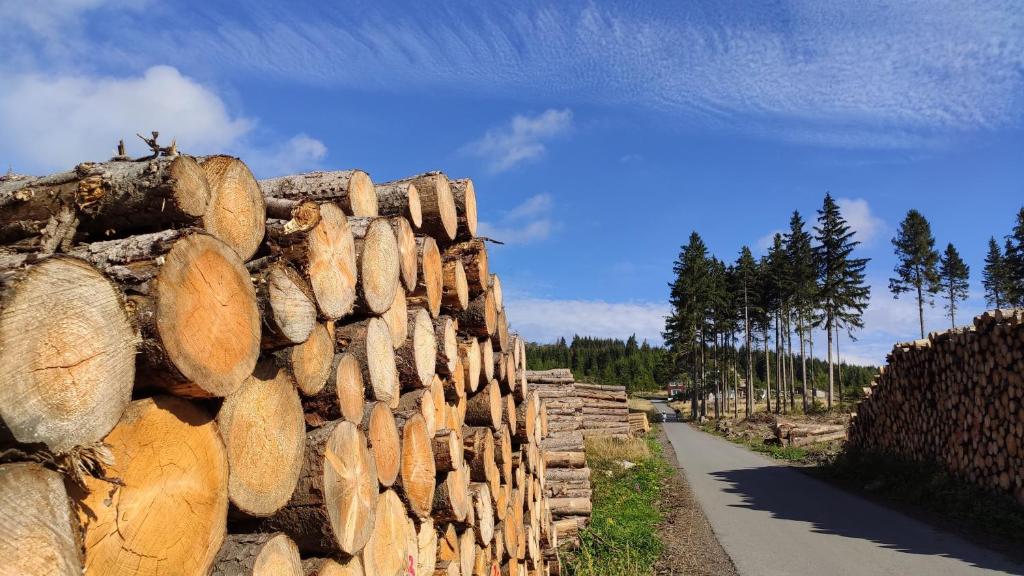 Harz Blick photo 2