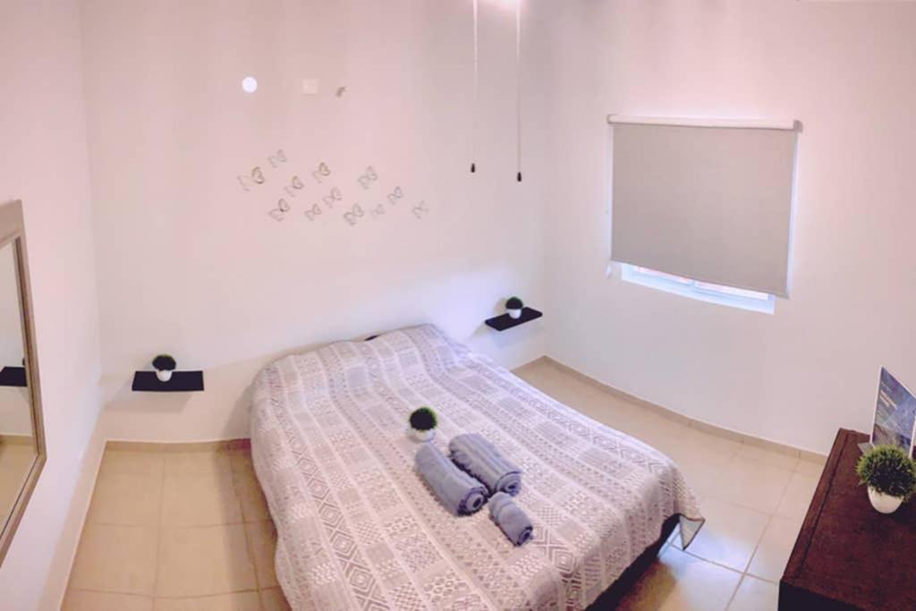 Luna Pacific Los Cabos - Condo Near Beach photo 3