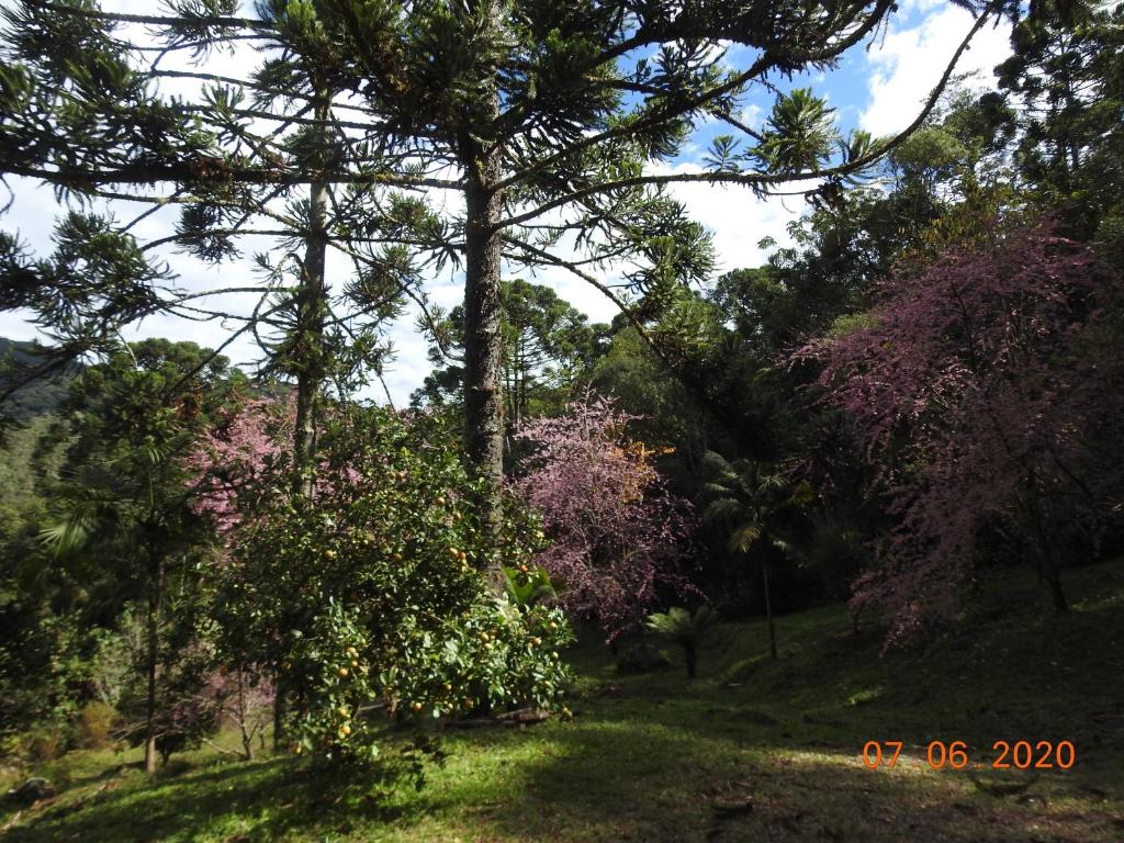 Sítio Refúgio da Onça - Serra da Bocaina - Bananal photo 1