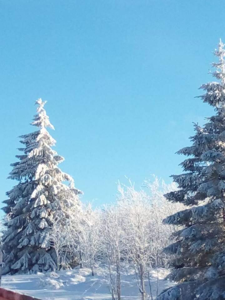 CrisAnd Wald &Terrasse photo 4