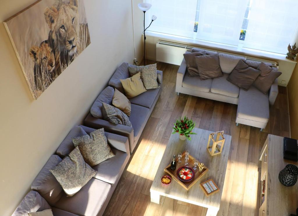 Vakantiehuis De Lounge photo 3