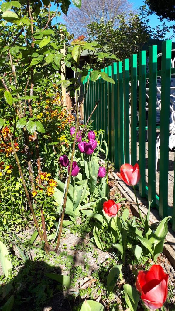 Le Jardin des Merveilles photo 1