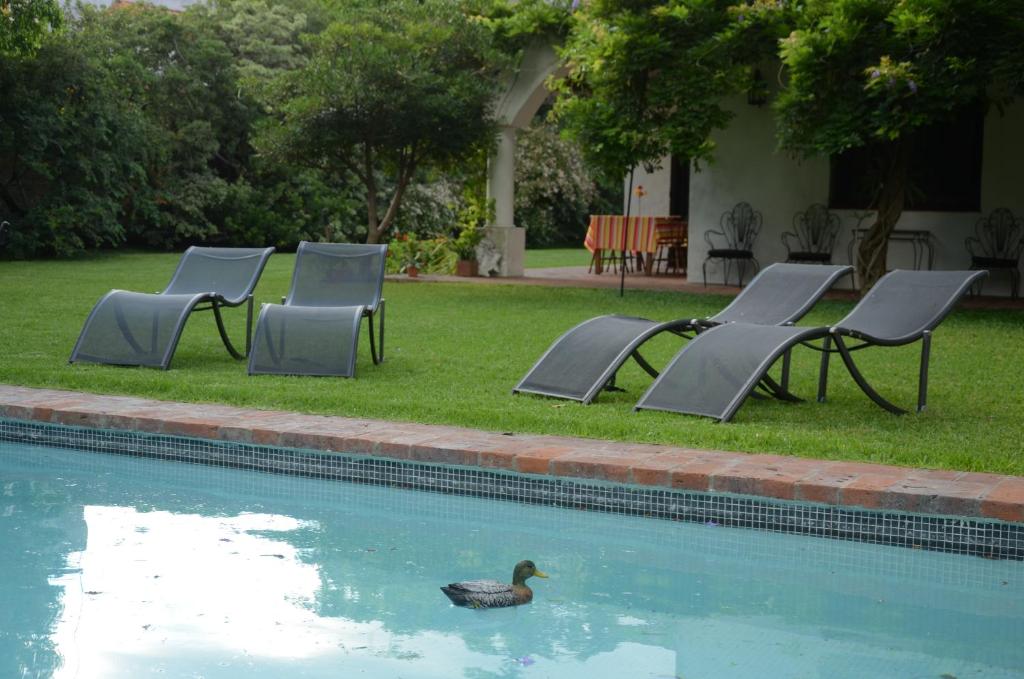 Susana Just Boutique Hotel photo 1