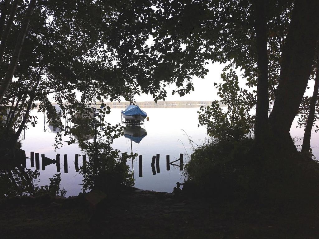 Am Schwielochsee 2 photo 1